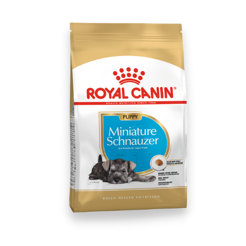 ROYAL CANIN SCHNAUZER MINIATURE PUPPY